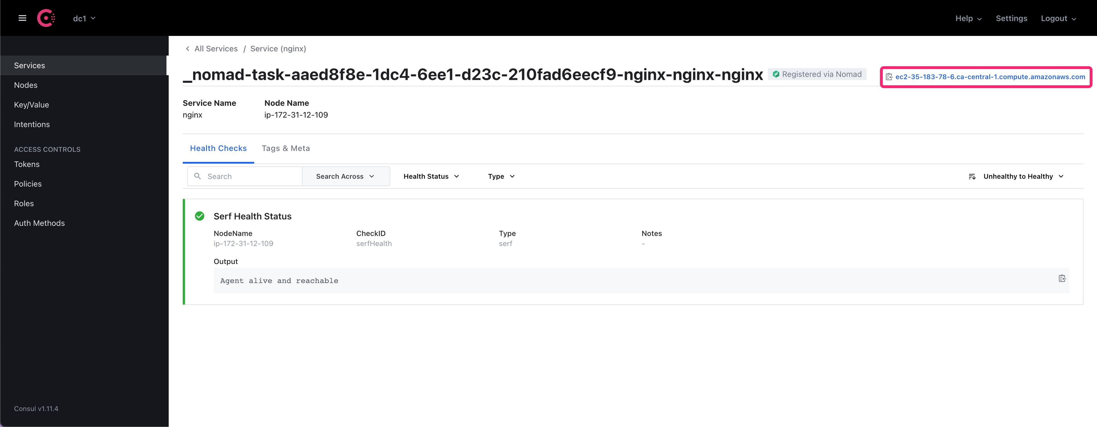 nginx service details in the Consul UI